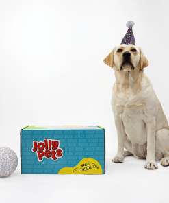 Jolly Bash Box