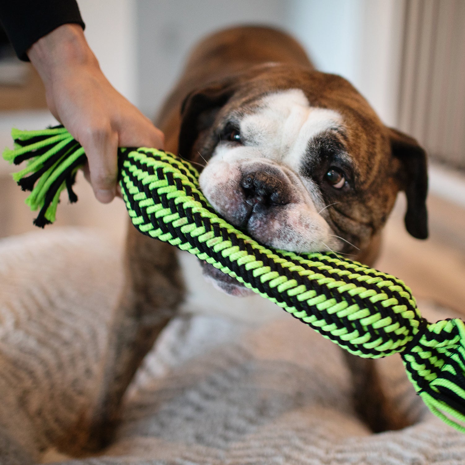 Rope.jpg