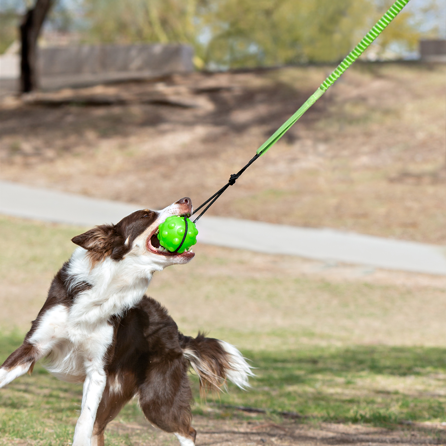 Tree-Tugger-2.png